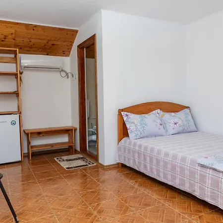 Homestay Casa Tudor *